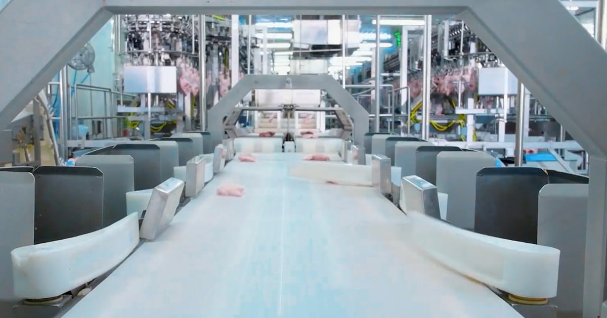 Khu vực pha lóc tự động 100% tại tổ hợp nhà máy CPV Food Bình Phước. Ảnh: TT.