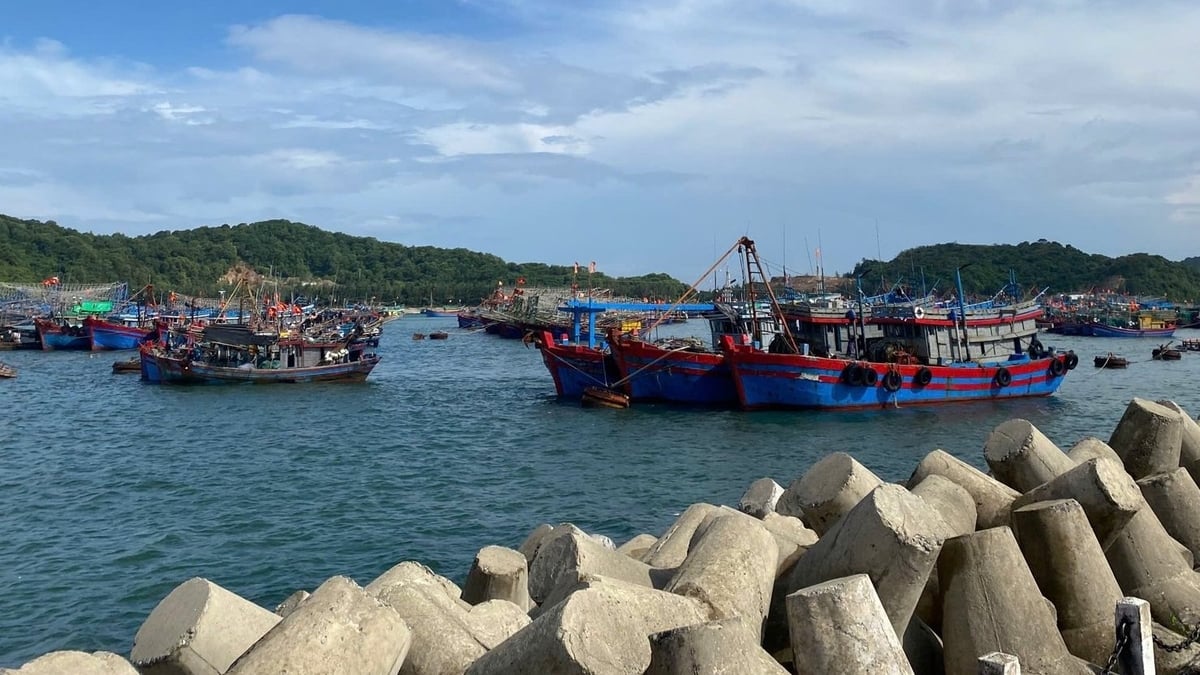 Khu neo đậu tránh trú bão cho tàu cá tại Đặc khu Cô Tô, tỉnh Quảng Ninh. Ảnh: Nguyễn Thành.