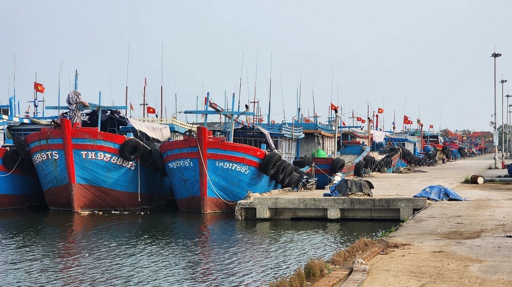 Đẩy mạnh các biện pháp chống khai thác IUU. Ảnh: Thu Thủy.