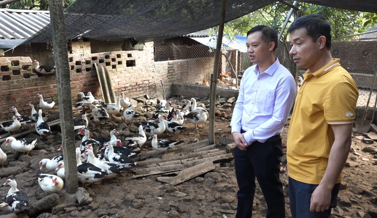 Anh Đinh Văn Thắng (áo vàng), Giám đốc HTX Thắng Huệ, chia sẻ về quy trình nuôi ngan sao. Ảnh: Nguyễn Thành.