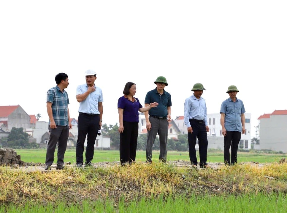 Bà Lương Thị Kiểm - Phó Giám đốc Sở Nông nghiệp và Môi trường Hải Phòng kiểm tra việc chuẩn bị tiêu thoát nước tại vựa lúa phía tây Hải Phòng. Ảnh: Tiến Mạnh.