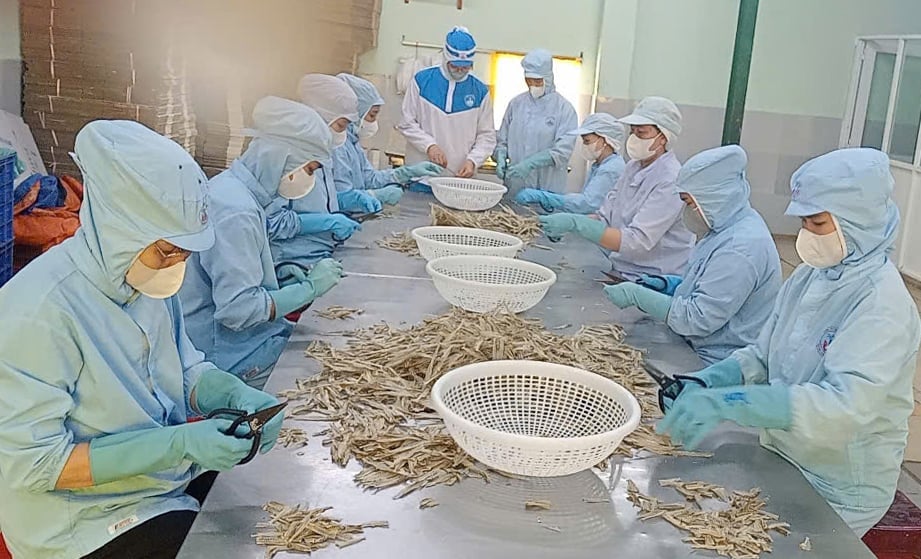 Sản phẩm xương cá đục của Công ty Tứ Hải xuất khẩu sang Nhật Bản đang cho doanh thu khoảng 10-12 tỷ đồng/năm. Ảnh: Lê Bình.