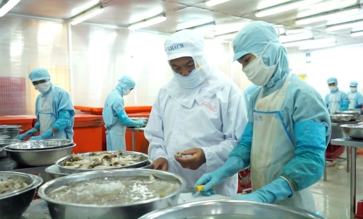 Nếu được đầu tư công nghệ, phế phụ phẩm ngành thủy sản có thể đạt kim ngạch xuất khẩu tỷ USD. Ảnh: LB.