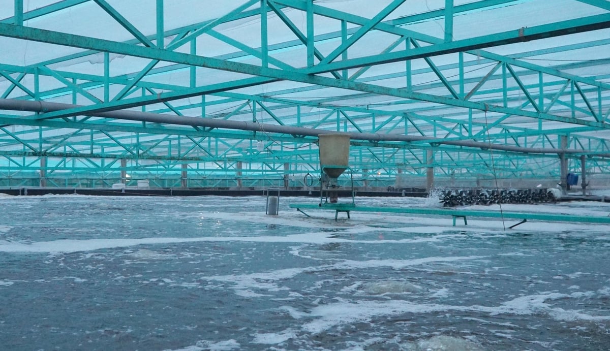 Tái sử dụng nước trong nuôi trồng thủy sản không chỉ tiết kiệm chi phí sản xuất mà còn đảm bảo được chất lượng nguồn nước trong suốt vụ nuôi. Ảnh: Lê Bình.