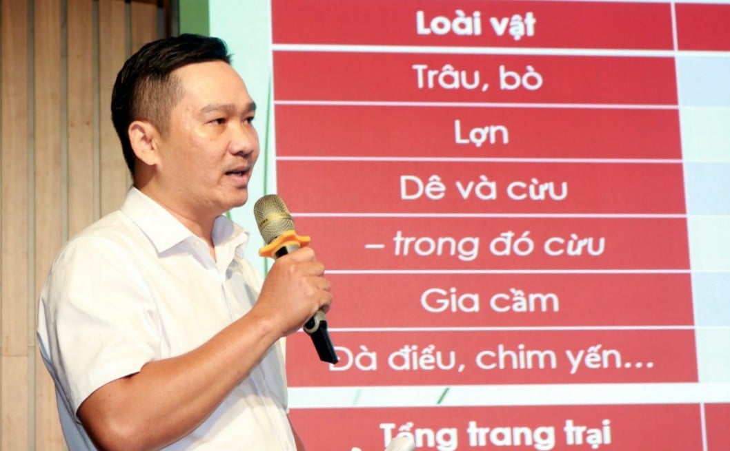 Ông Nguyễn Thái Bình, Phó trưởng phòng Chăn nuôi và Quản lý dịch bệnh (Chi cục Chăn nuôi và Thú y tỉnh Khánh Hòa) cho biết, tỉnh có đàn cừu lớn nhất cả nước. Ảnh: Kim Sơ.