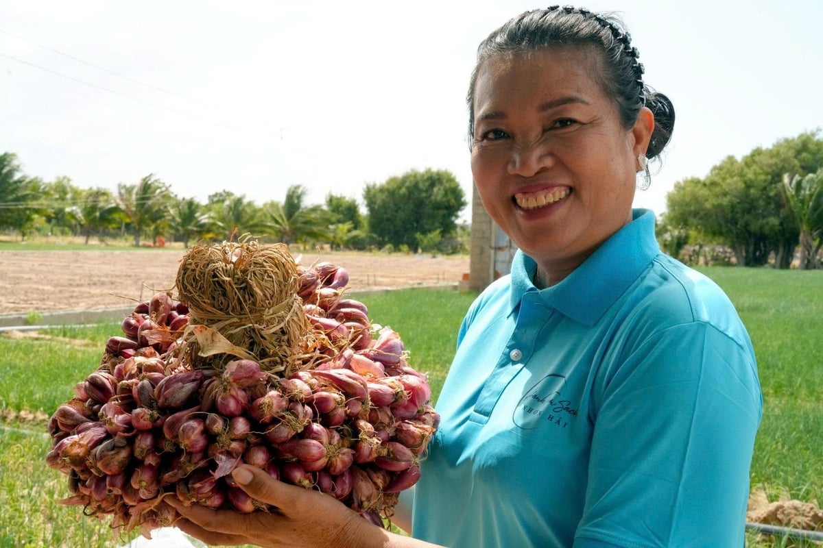 Chị Nguyễn Thị Châu - người có công lớn trong phát triển sản xuất, tiêu thụ và xuất khẩu hành tím Ninh Thuận (cũ). Ảnh: Nguyễn Cơ.