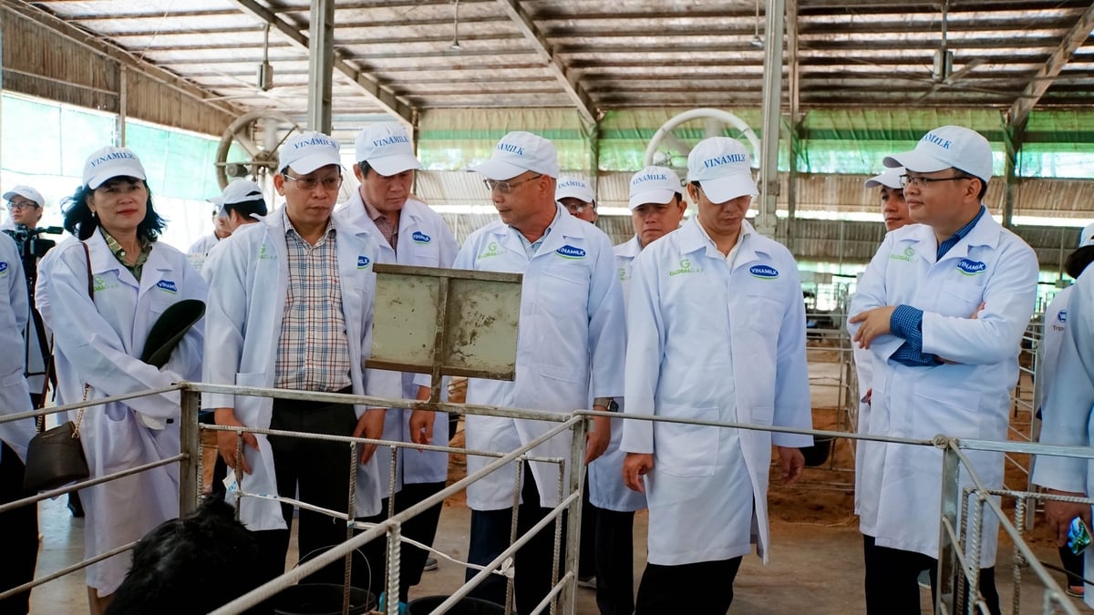 Đoàn lãnh đạo Sở Nông nghiệp và Môi trường tỉnh Tây Ninh tham quan Green Farm. Ảnh: Trần Trung.