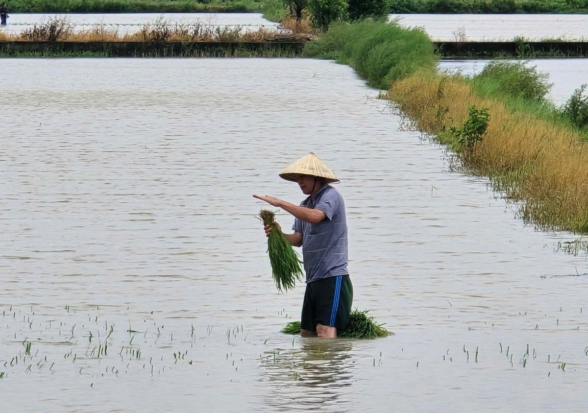 Người dân được yêu cầu tạm dừng cấy lúa cho đến lúc bão tan, tránh những rủi ro đáng tiếc. Ảnh: Tiến Mạnh.