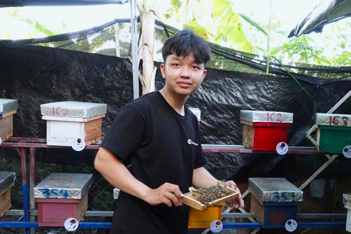 Mô hình nuôi ong chúa giống giúp thanh niên Đỗ Công Tạo có thu nhập ổn định để trang trải chi phí học tập hàng tháng. Ảnh: Kim Anh. Mô hình nuôi ong chúa giống giúp thanh niên Đỗ Công Tạo có thu nhập ổn định để trang trải chi phí học tập hàng tháng. Ảnh: Kim Anh.