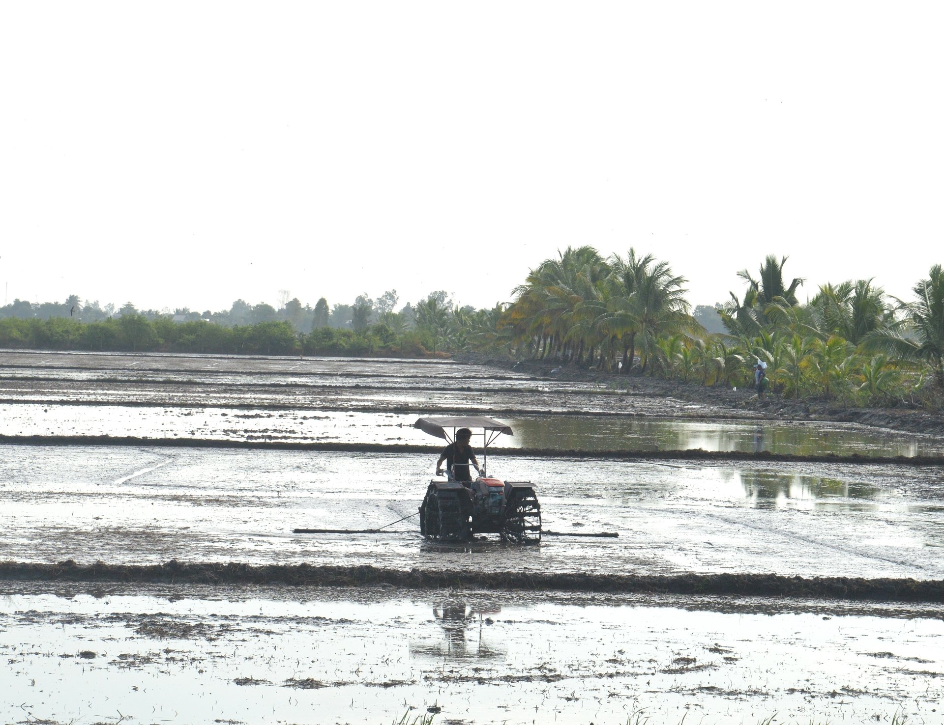 Ruộng sau khi được vệ sinh sạch sẽ, nông dân sử dụng máy để san phẳng mặt, tạo điều kiện để thuận lợi cho gieo sạ lúa thu đông 2025. Ảnh: Trung Chánh.