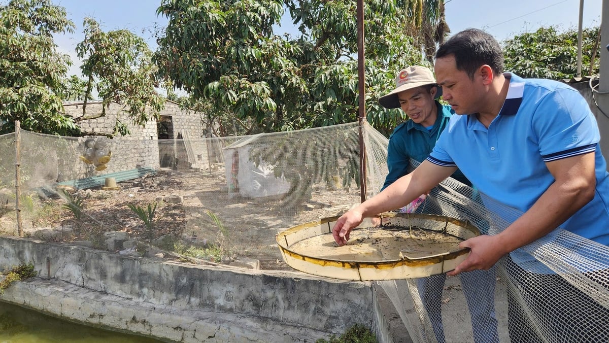 Toàn tỉnh đã cấp 532 giấy xác nhận nuôi trồng thủy sản, triển khai gắn mã định danh điện tử cho từng cơ sở. Ảnh: Nguyễn Thành.