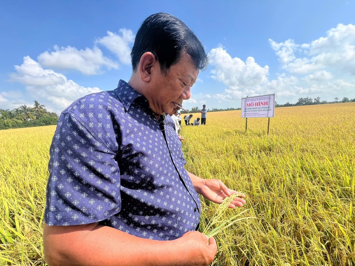 Ông Ngỗ hài lòng với kết quả đạt được sau lần đầu sử dụng chế phẩm AMUNIV. Ảnh: Trọng Linh.