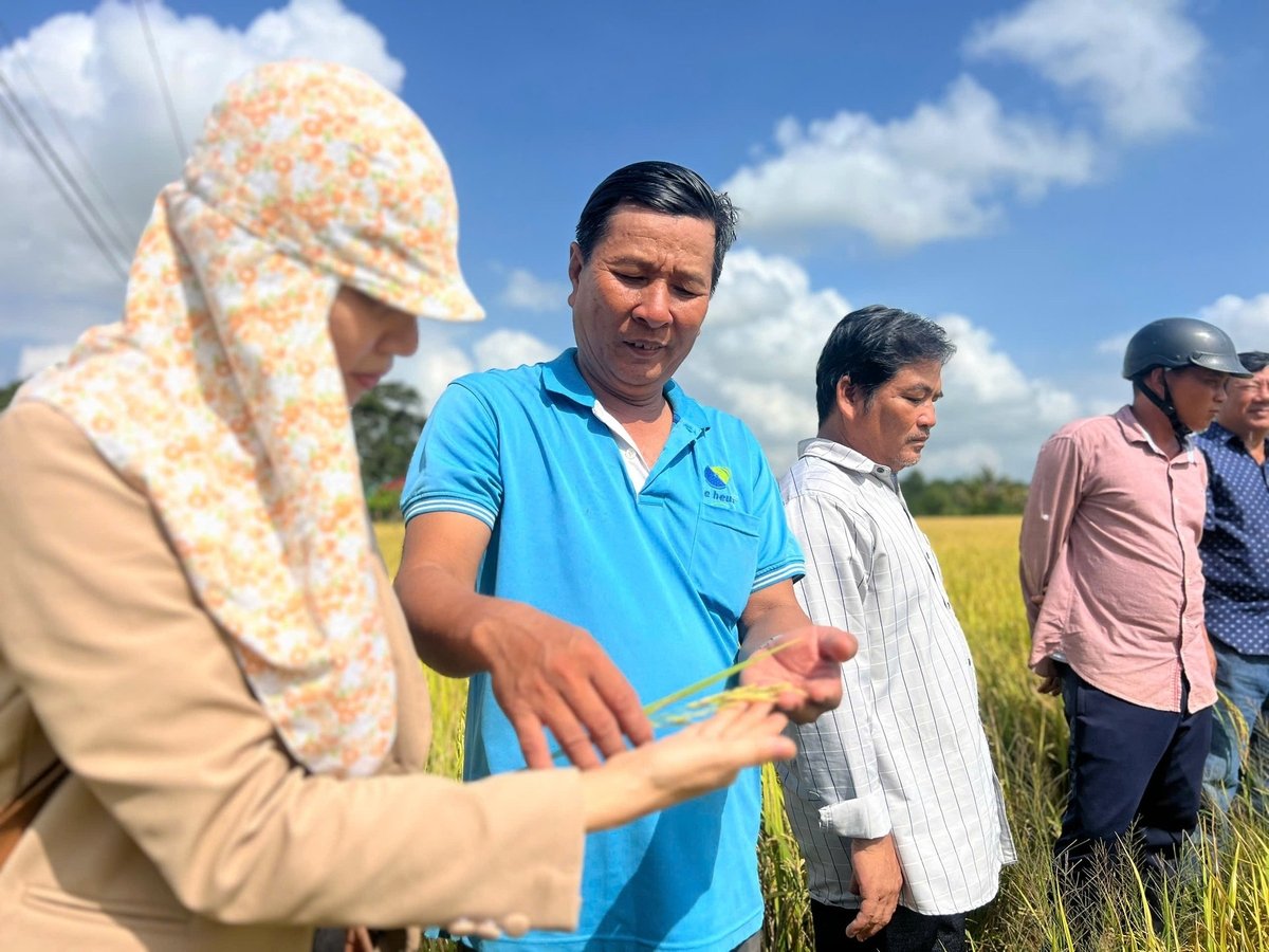 Nông dân trong HTX Thanh Sơn tham gia mô hình cùng với ông Ngỗ thăm ruộng. Ảnh: Trọng Linh.