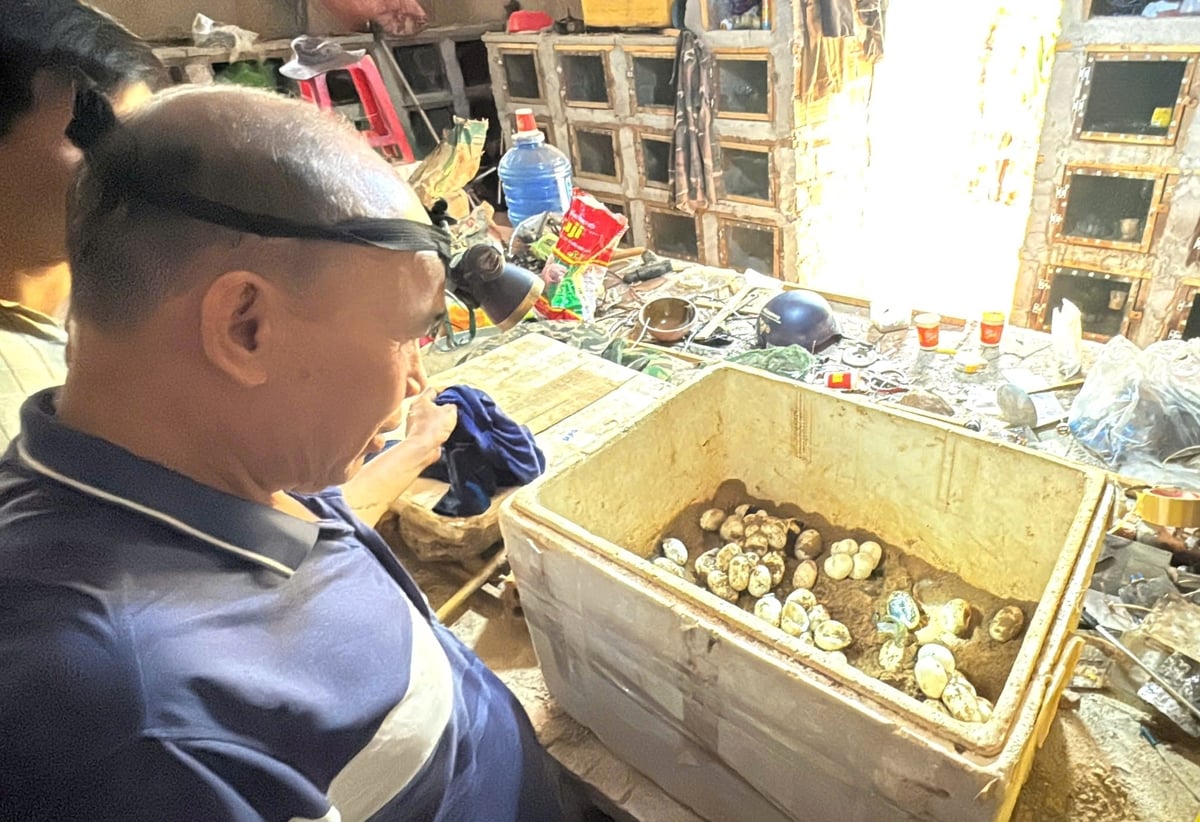 Riêng tiền bán trứng mỗi năm gia đình ông Vân thu về gần 100 triệu đồng. Ảnh: Tuấn Anh. Riêng tiền bán trứng mỗi năm gia đình ông Vân thu về gần 100 triệu đồng. Ảnh: Tuấn Anh.