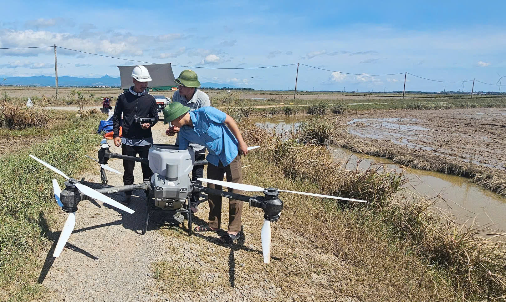 Lãnh đạo Công ty Giống cây trồng Quảng Bình kiểm tra chất lượng lúa giống trước khi bay gieo sạ. Ảnh: Tâm Đức.