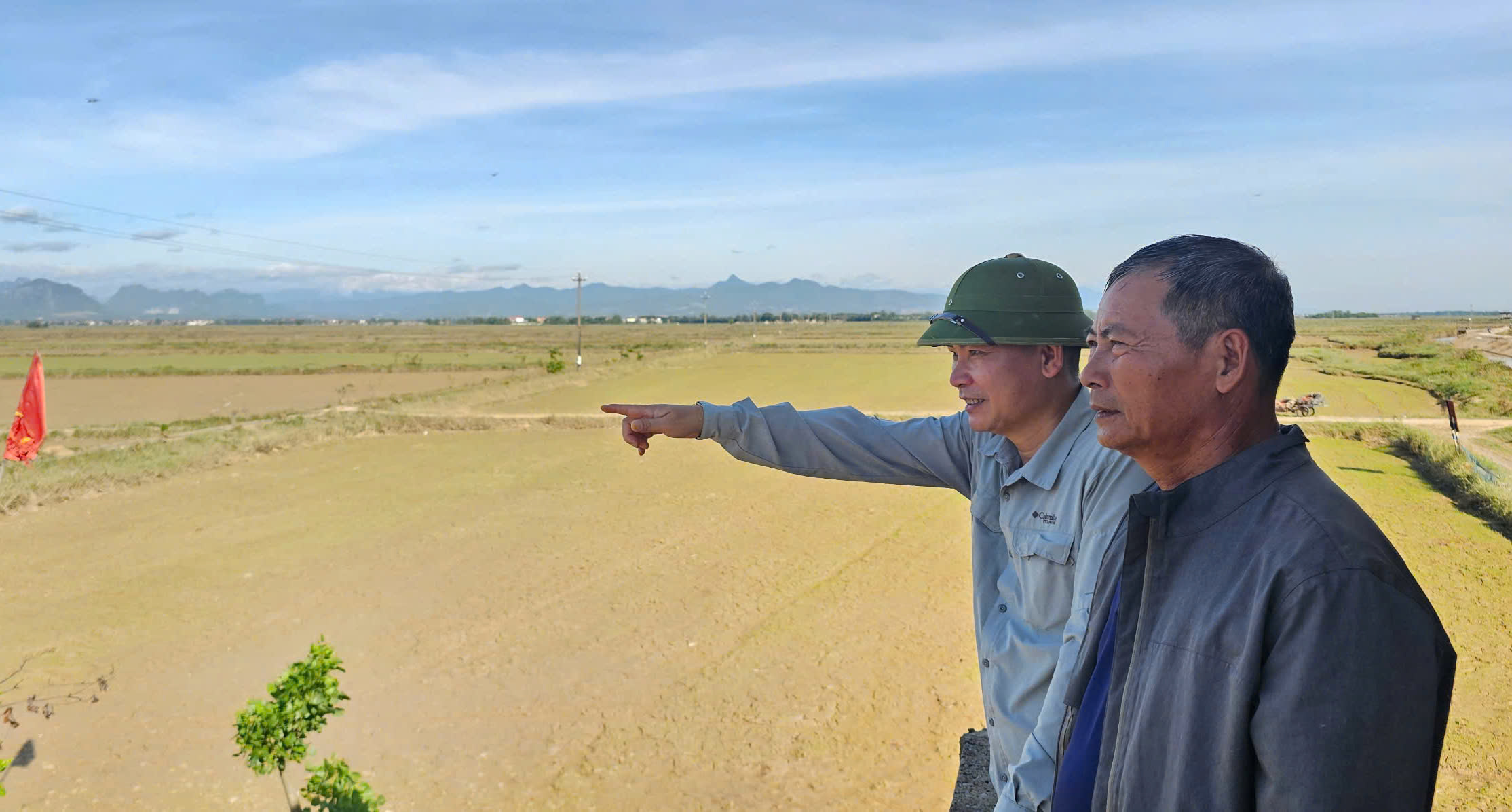 Cánh đông Ông Đồng được gieo lại kịp lịch thời vụ. Ảnh: Tâm Đức.