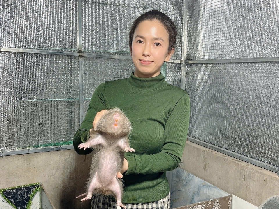 Chị Hiền, một trong những người mua dúi giống từ trại của Hiếu và đang nuôi thành công. Ảnh: Minh Đảm.