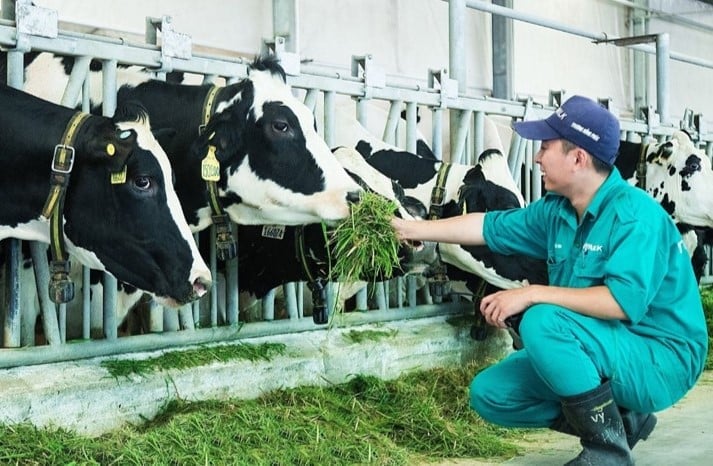 Chiến lược đến năm 2030 của ngành sữa Việt Nam đặt mục tiêu nâng đàn bò lên 650 - 700 nghìn con, sản lượng sữa tươi đạt 2,6 triệu tấn. Chiến lược đến năm 2030 của ngành sữa Việt Nam đặt mục tiêu nâng đàn bò lên 650 - 700 nghìn con, sản lượng sữa tươi đạt 2,6 triệu tấn.