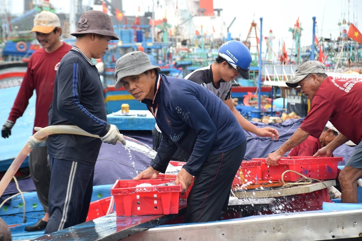 Toàn bộ nguồn lực tài trợ sẽ được VASEP tiếp nhận và phối hợp cùng các địa phương trao trực tiếp cho các hộ ngư dân có hoàn cảnh khó khăn. 