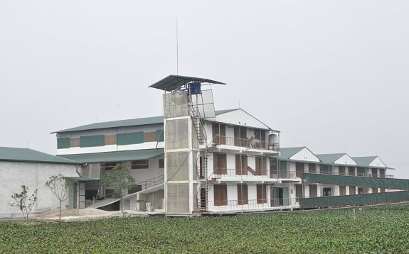 Mô hình nuôi lợn trên nhà tầng tại HTX Hoàng Long, TP. Hà Nội. Ảnh: HT.