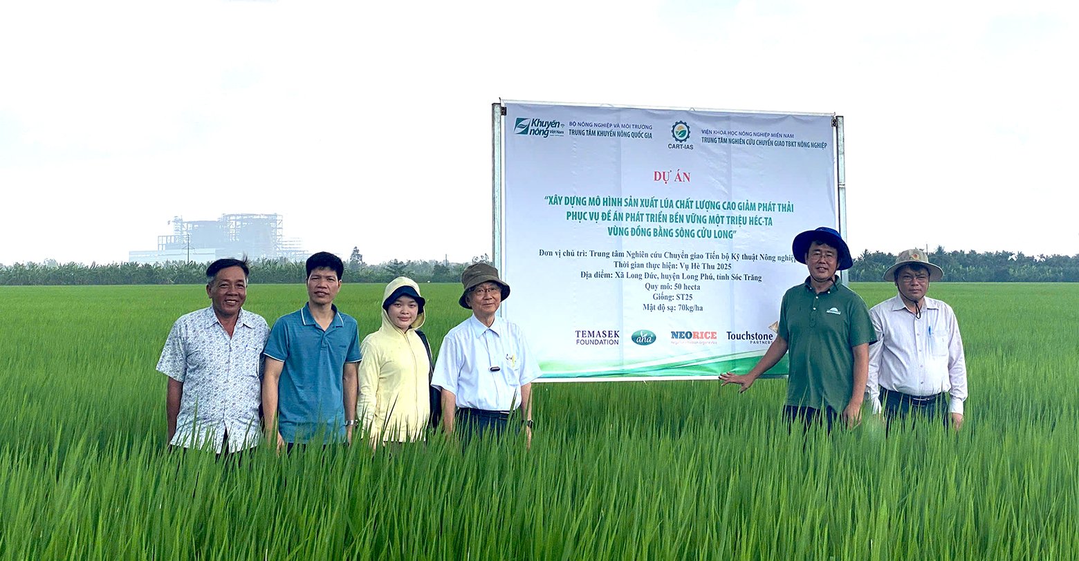 Các nhà khoa học Việt Nam và chuyên gia quốc tế thị sát, kiểm tra mô hình sản xuất lúa chất lượng cao theo hướng hữu cơ, giảm phát thải tại cánh đồng của HTX Hưng Lợi, xã Đại Ngãi, TP Cần Thơ. Ảnh: Minh Sáng. Các nhà khoa học Việt Nam và chuyên gia quốc tế thị sát, kiểm tra mô hình sản xuất lúa chất lượng cao theo hướng hữu cơ, giảm phát thải tại cánh đồng của HTX Hưng Lợi, xã Đại Ngãi, TP Cần Thơ. Ảnh: Minh Sáng.