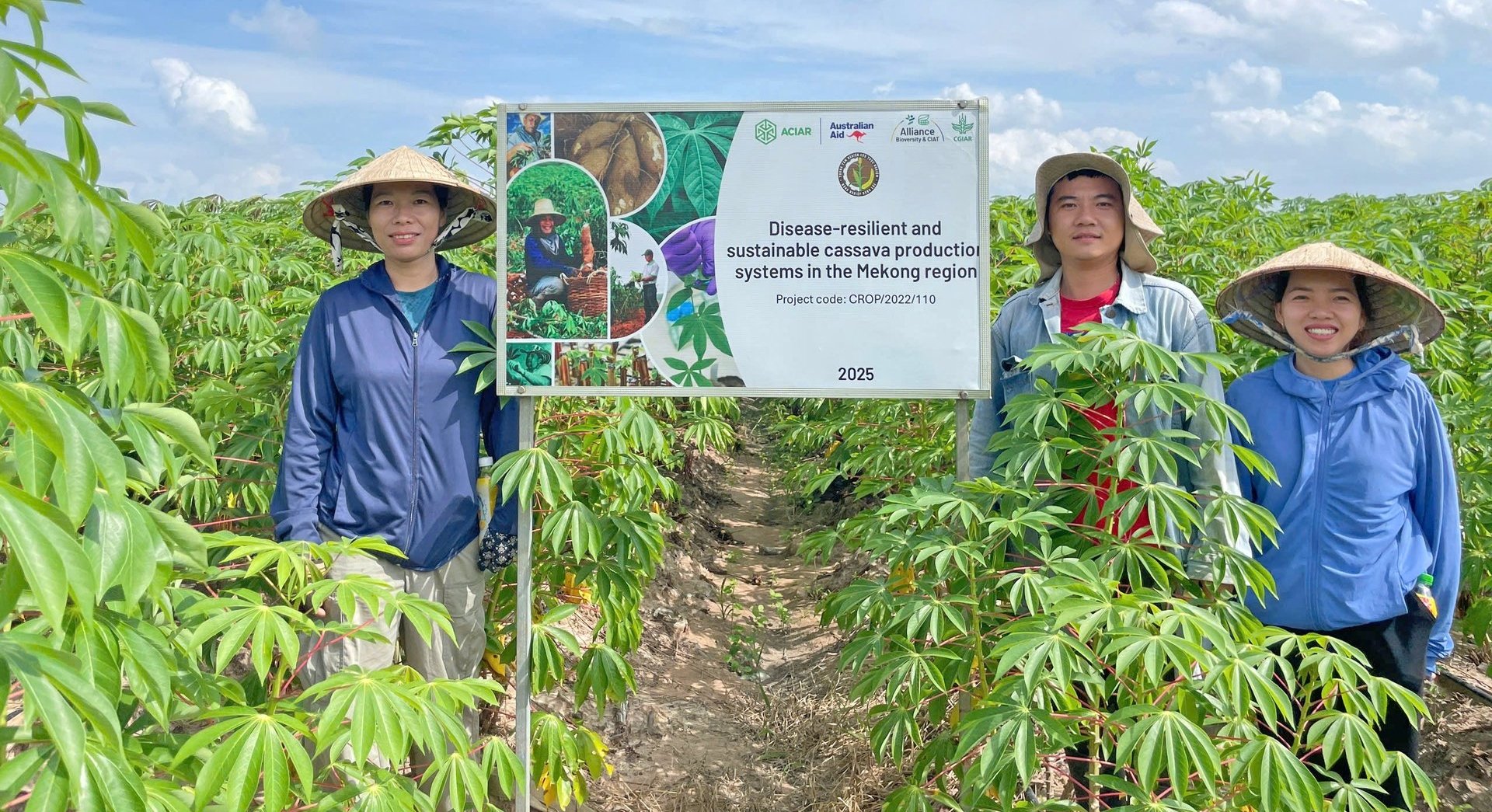 Nhóm nghiên cứu sắn tại Trung tâm Nghiên cứu Thực nghiệm Nông nghiệp Hưng Lộc (Viện Khoa học Kỹ thuật Nông nghiệp Miền Nam) - đối tác chính trong các dự án nghiên cứu của CIAT và ACIAR tại Việt Nam. Ảnh: Thu Hương – HARC.