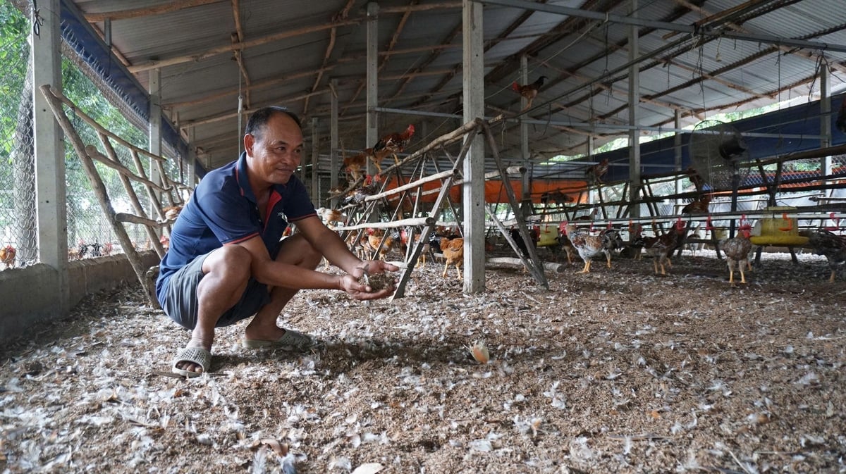 Một góc trang trại gà an toàn sinh học của ông Nguyễn Văn Duy. Ảnh: Trần Trung.