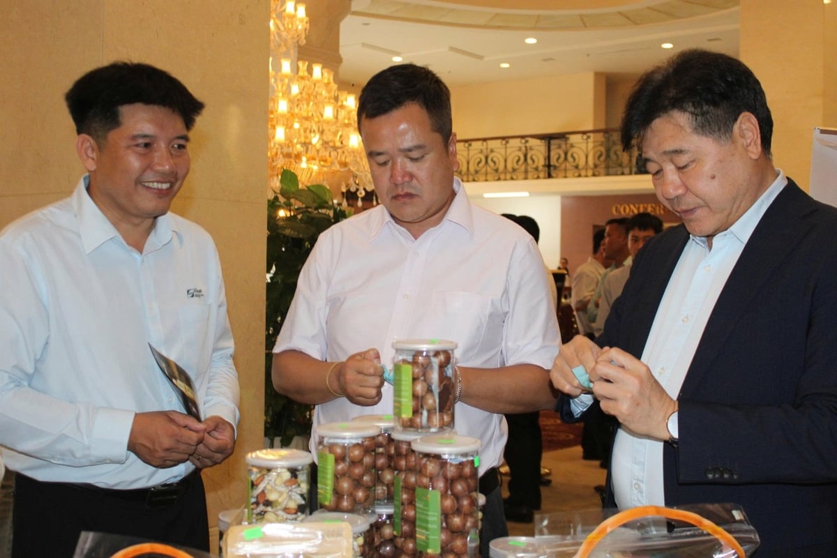 Các đại biểu tham quan gian trưng bày sản phẩm hạt mắc ca tại diễn đàn. Ảnh: VL.