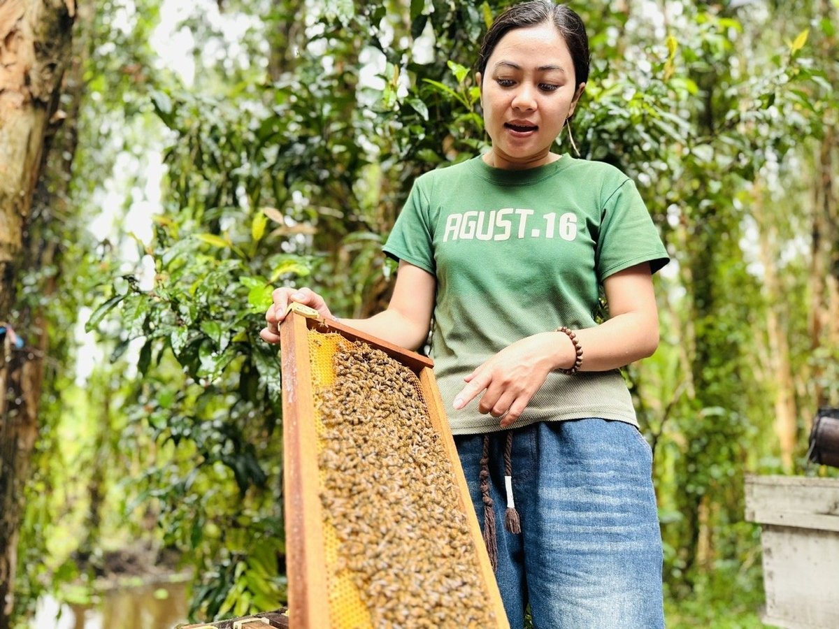 Kiểm tra tổ ong trong rừng tràm Trà Sư, nơi áp dụng quy trình VietGAHP nhằm nâng cao chất lượng mật ong và đảm bảo an toàn sinh học. Ảnh: Lê Hoàng Vũ.