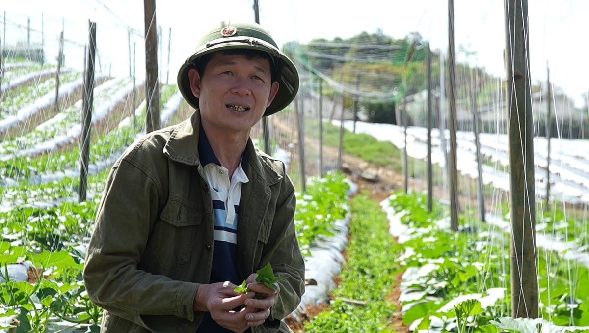 Anh Lưu Tùng Định hiện vừa sản xuất, vừa làm khâu trung gian tiêu thụ rau cho bà con. Ảnh: Đức Bình.