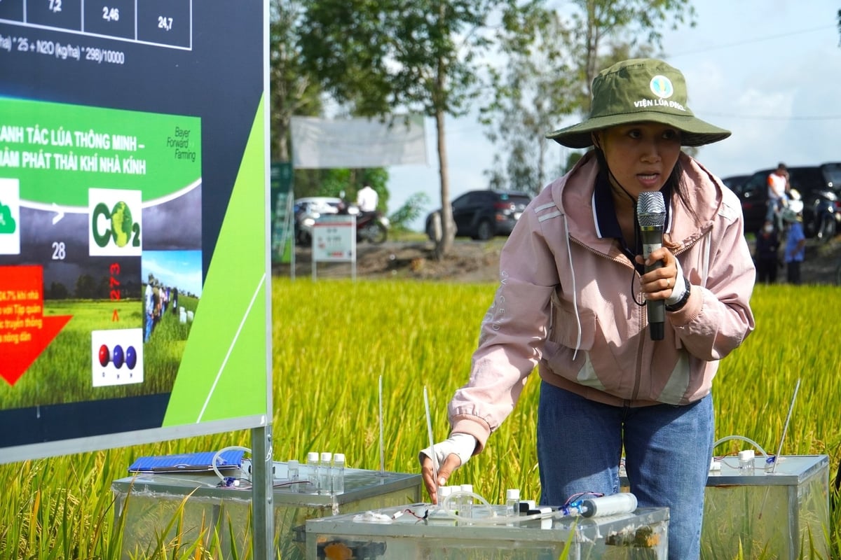 Việc duy trì và kiện toàn các trạm trồng trọt và bảo vệ thực vật khu vực (liên xã) cần được xem xét. Ảnh: Kim Anh.