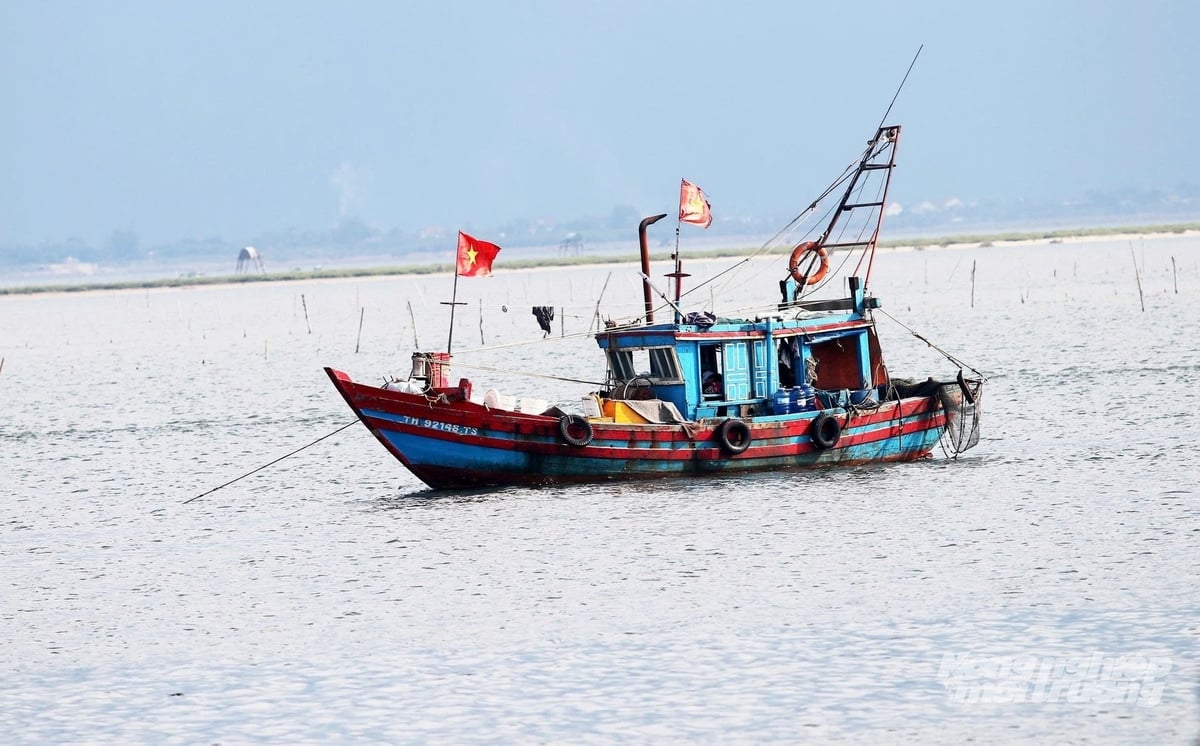 Bình quân mỗi tháng có khoảng 1.200 lượt tàu thuyền cập cảng Thạch Kim. Ảnh: Thanh Nga.