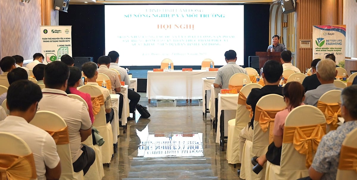 Hội nghị có sự tham gia của đông đảo các hợp tác xã, tổ hợp tác và nông dân trồng sầu riêng trên địa bàn Lâm Đồng. Ảnh: Phạm Hoài.