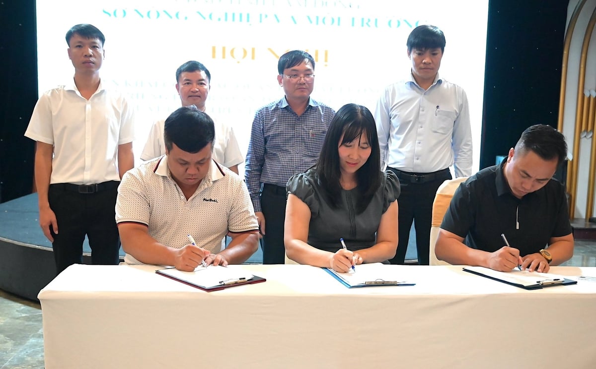 Đại diện các đơn vị, doanh nghiệp xuất khẩu, hợp tác xã, tổ hợp tác ký cam kết sản xuất, chế biến sầu riêng đảm bảo đúng các quy định đạt tiêu chuẩn xuất khẩu. Ảnh: Phạm Hoài.