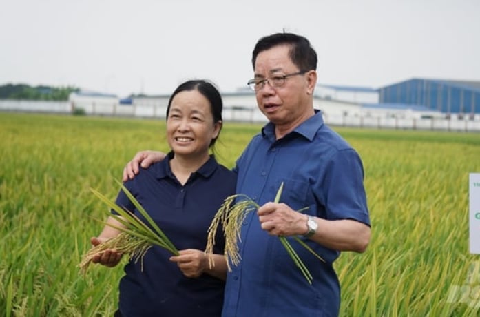 Bà Đỗ Thị Hoa chụp ảnh kỷ niệm cùng Anh hùng Lao động Trần Mạnh Báo, Chủ tịch HĐQT Tập đoàn ThaiBinh Seed tại cánh đồng mẫu lớn xã Xuân Minh. Ảnh: Quốc Toản. Bà Đỗ Thị Hoa chụp ảnh kỷ niệm cùng Anh hùng Lao động Trần Mạnh Báo, Chủ tịch HĐQT Tập đoàn ThaiBinh Seed tại cánh đồng mẫu lớn xã Xuân Minh. Ảnh: Quốc Toản.