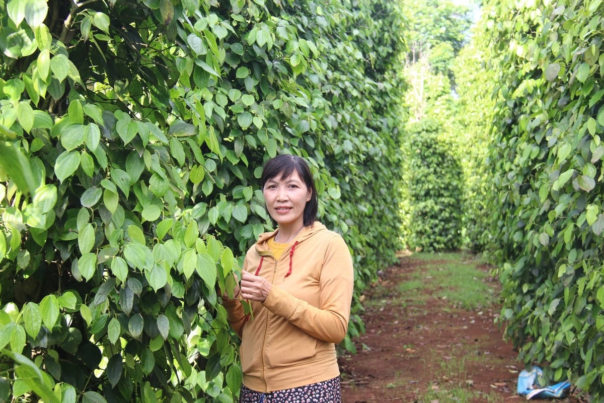 Chị Nhung đã truyền cảm hứng lao động, sáng tạo cho bà con địa phương. Ảnh: Tuấn Trần.