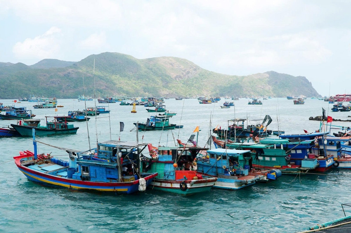 Đội tàu cá của Bà Rịa - Vũng Tàu cũ Ảnh: Lê Bình.