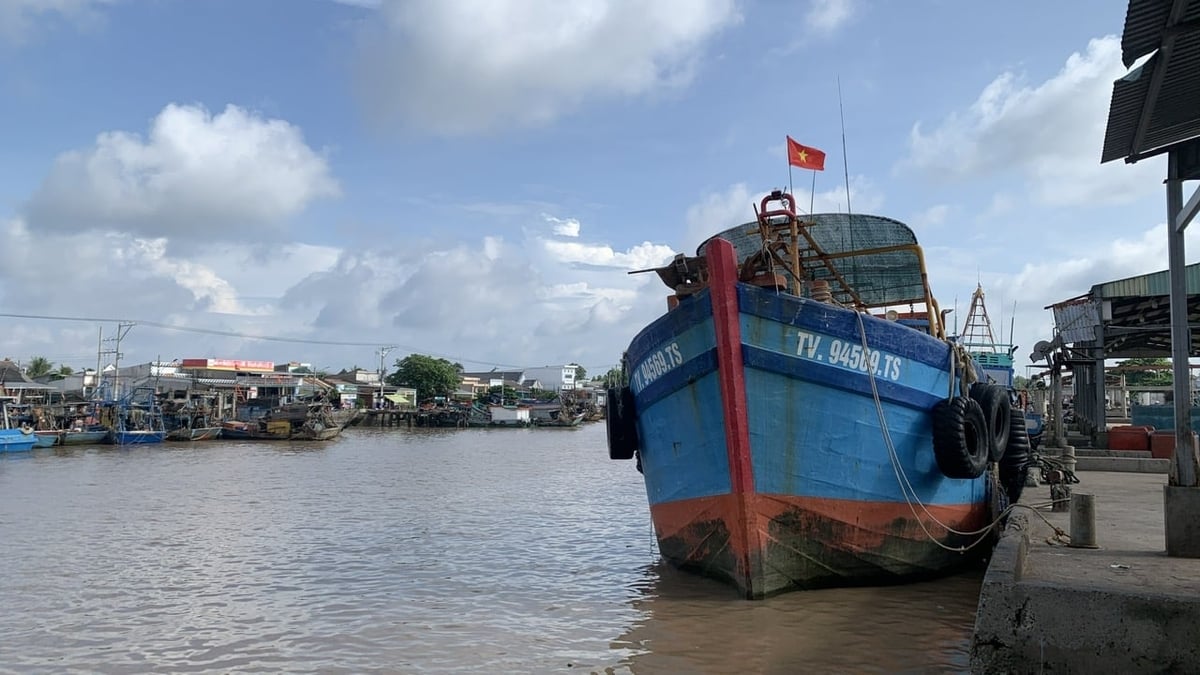 Sở Nông nghiệp và Môi trường Vĩnh Long cho biết, từ đầu năm đến nay địa phương chưa ghi nhận tàu cá vi phạm vùng biển nước ngoài. Ảnh: Hồ Thảo.