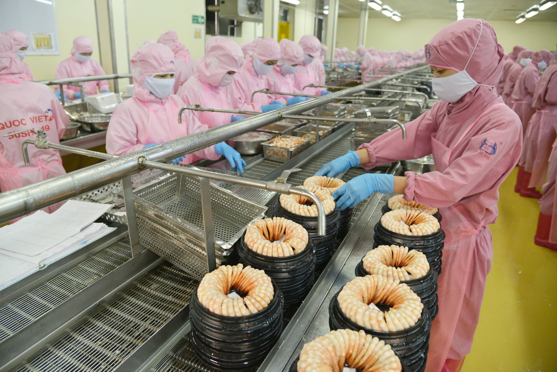 Hằng năm, con tôm đóng góp khoảng 40-45% tổng giá trị xuất khẩu thủy sản, tương đương 3,5-4 tỷ USD. Ảnh: Hồng Thắm.