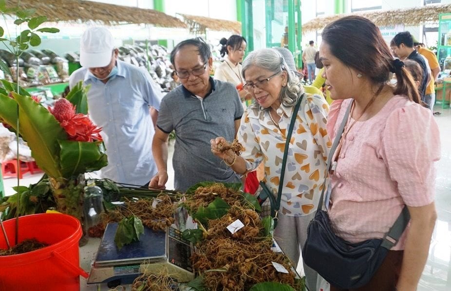 Đà Nẵng duy trì Phiên chợ nông sản và dược liệu miền núi hàng tháng để quảng bá sâm Ngọc Linh. Ảnh: Lan Anh.