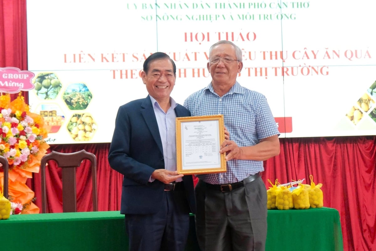 Đại diện Công ty Vina T&T trao chứng nhận GlobalGAP cho vùng trồng thanh nhãn của HTX Trạng Tí Garden. Ảnh: Kim Anh.