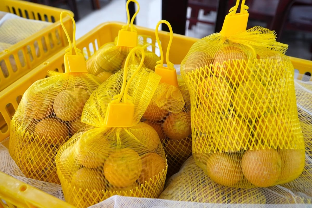 Thanh nhãn là một trong những mặt hàng có thế mạnh xuất khẩu của TP Cần Thơ. Ảnh: Kim Anh.