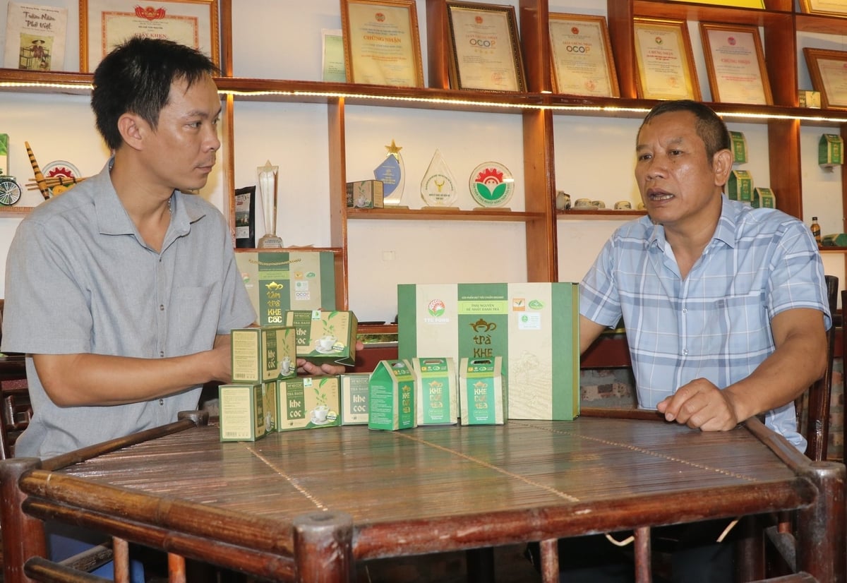 Sản phẩm chè của Hợp tác xã chè an toàn Khe Cốc. Ảnh: Quang Linh.