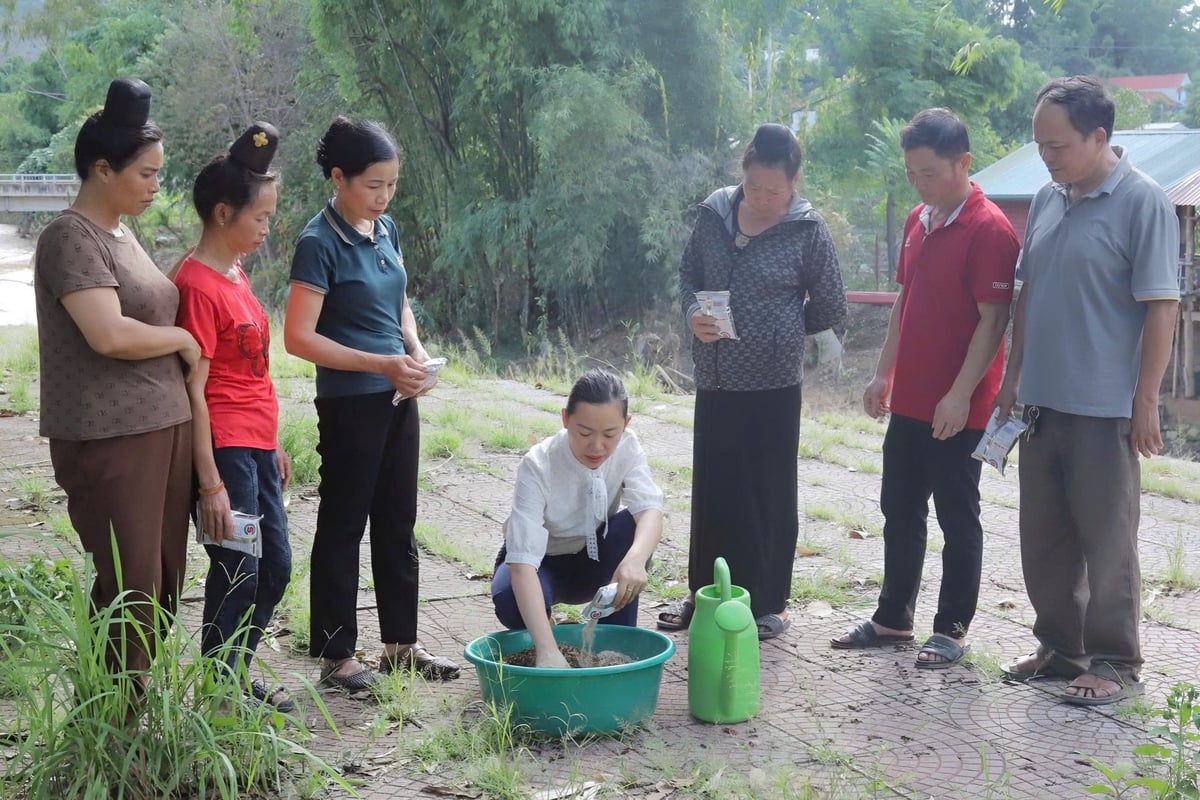 Cán bộ Trung tâm Kỹ thuật nông nghiệp Sơn La hướng dẫn bà con pha chế, sử dụng chế phẩm EMUNIV. Ảnh: Phan Trang.