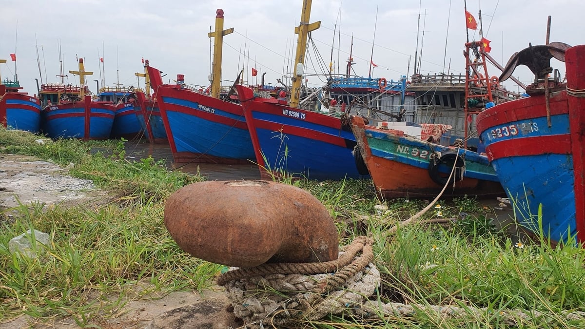 Tàu cá neo đậu tại cảng cá Quần Vinh (tỉnh Ninh Bình). Ảnh: Kiên Trung.