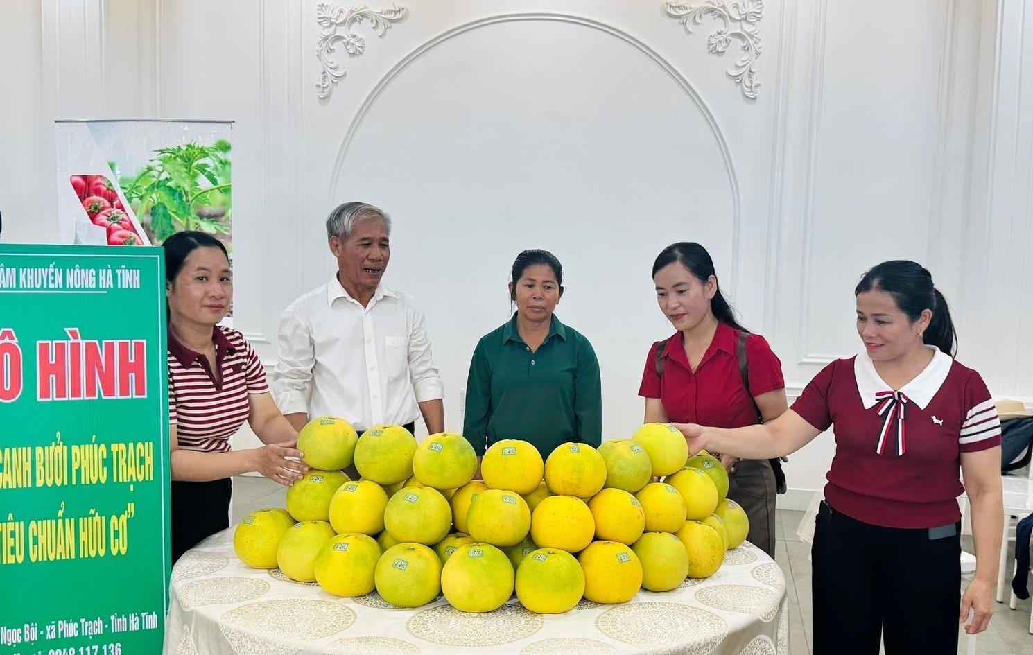 Bưởi hữu cơ có giá bán cao hơn từ 20 - 30%, lợi nhuận tăng từ 8 - 10% so với sản phẩm thông thường. Ảnh: Ánh Nguyệt.