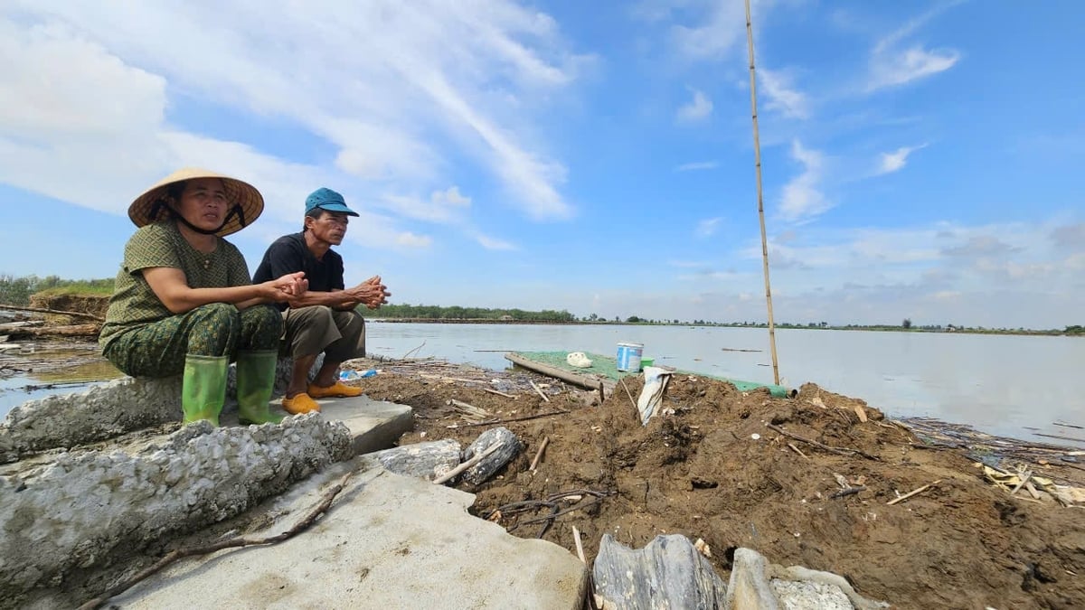 Vợ chồng lão nông Nguyễn Văn Chương bên khu ao đầm bị thiệt hại sau bão. Ảnh: Quốc Toản.