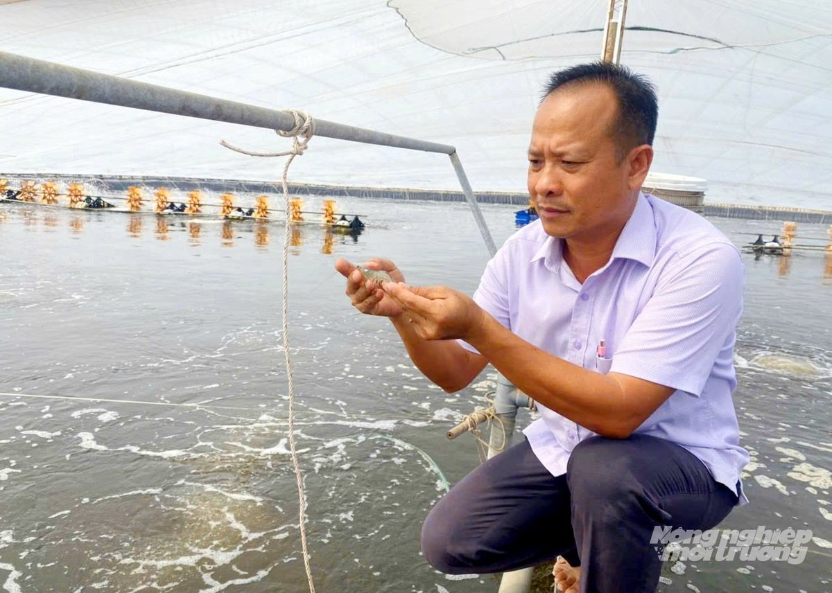 Thủy sản ở Tân Phú Đông chiếm gần 40% diện tích sản xuất nông nghiệp với sản lượng 36.000 tấn/năm. Ảnh: Lê Hoàng Vũ.