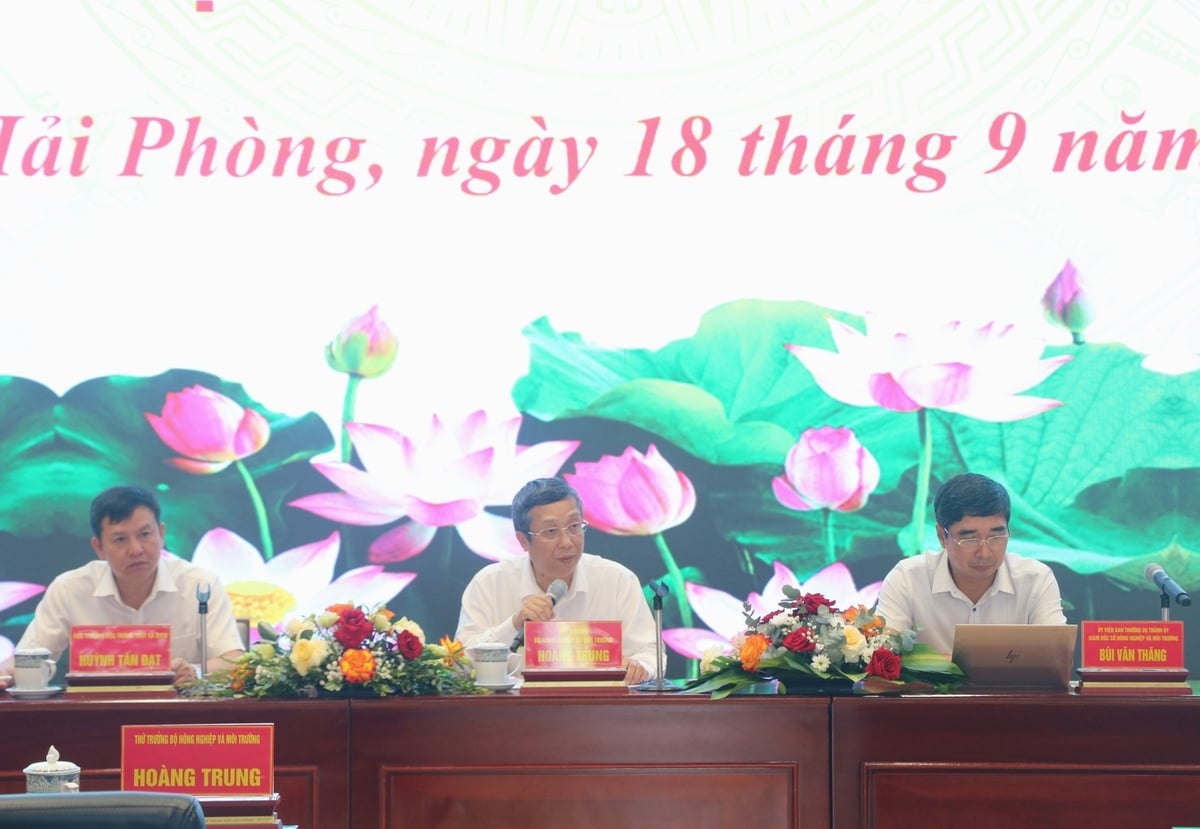 Thứ trưởng Bộ Nông nghiệp và Môi trường Hoàng Trung (giữa) cùng ông Huỳnh Tấn Đạt - Cục trưởng Cục Trồng trọt và Bảo vệ thực vật và ông Bùi Văn Thăng - Giám đốc Sở Nông nghiệp và Môi trường Hải Phòng đồng chủ trì hội nghị. Ảnh: Hoàng Phong.