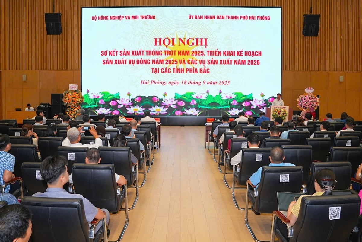 Các ý kiến tham luận từ các đơn vị chuyên môn và địa phương đã góp phần định hình các giải pháp cụ thể cho vụ đông 2025 và các vụ sản xuất tiếp theo. Ảnh: Đàm Thanh.